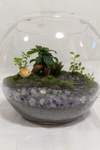 苔テラリウム、フローライトの泉