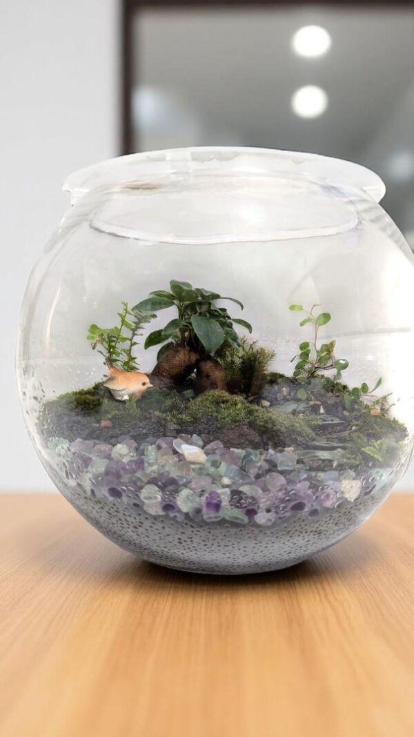 【初心者でも育てやすい】苔テラリウム《フローライトの泉》｜天然石×癒しのインテリアグリーン - 画像 (9)