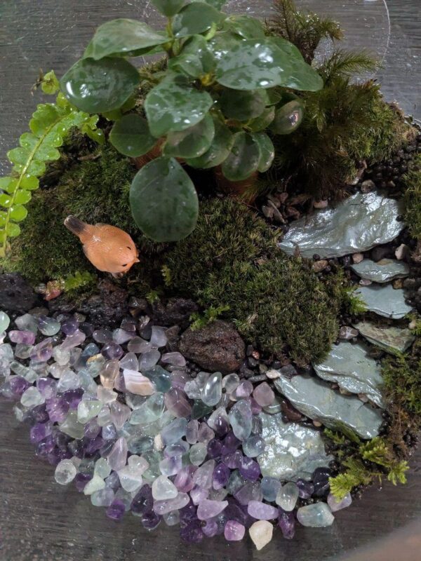 【初心者でも育てやすい】苔テラリウム《フローライトの泉》｜天然石×癒しのインテリアグリーン - 画像 (8)
