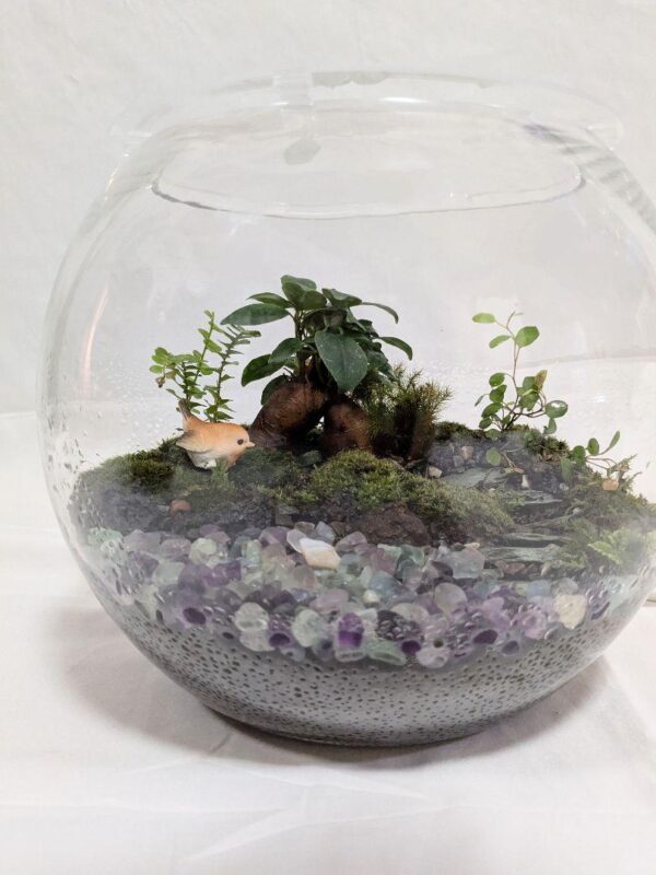 【初心者でも育てやすい】苔テラリウム《フローライトの泉》｜天然石×癒しのインテリアグリーン - 画像 (6)