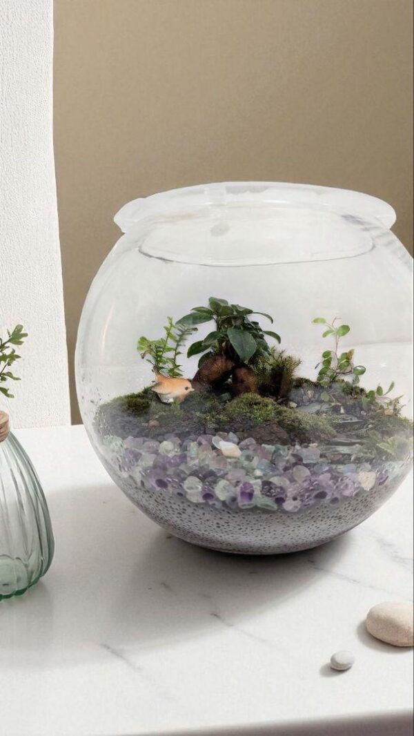 【初心者でも育てやすい】苔テラリウム《フローライトの泉》｜天然石×癒しのインテリアグリーン - 画像 (3)