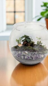 苔テラリウム-フローライトの泉