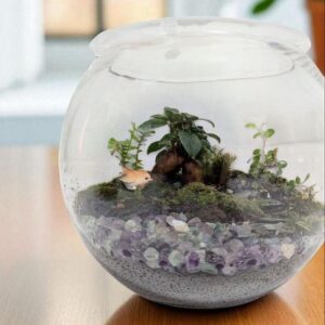 苔テラリウム-フローライトの泉