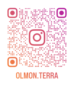 olmoインスタグラム