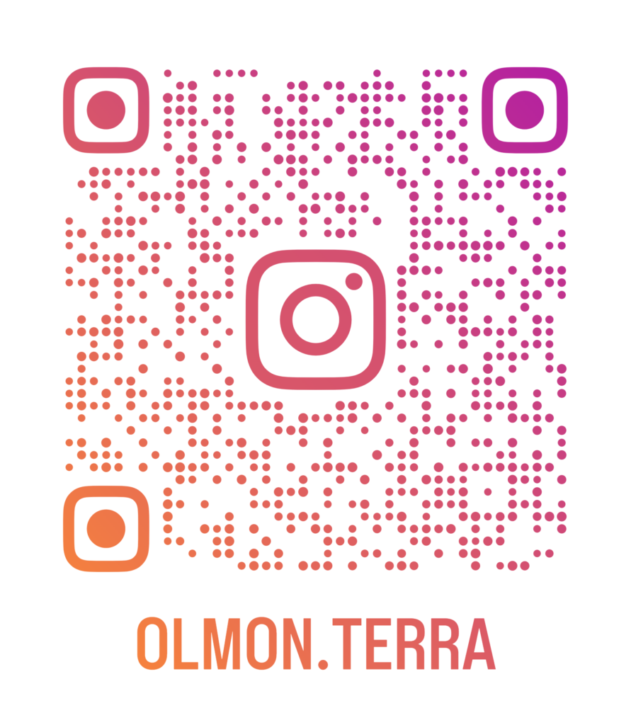 olmoインスタグラム