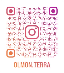 olmoインスタグラム