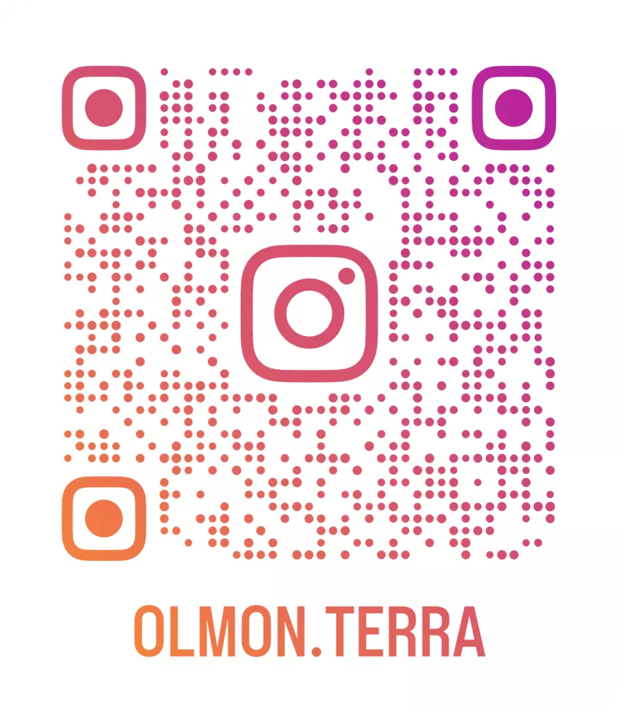 olmoインスタグラム