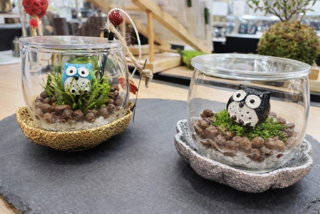 olmo+（おるもぷらす）にあるテラリウム作品