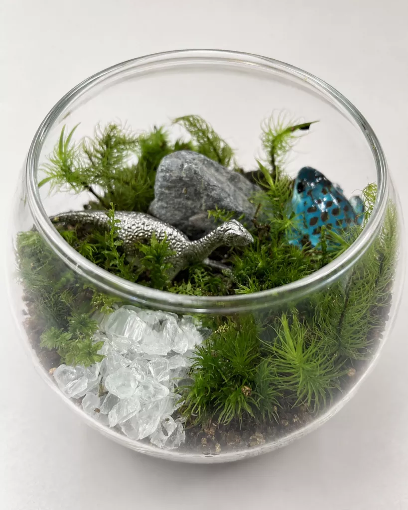 恐竜が苔の森を歩くように作られた苔テラリウム作品